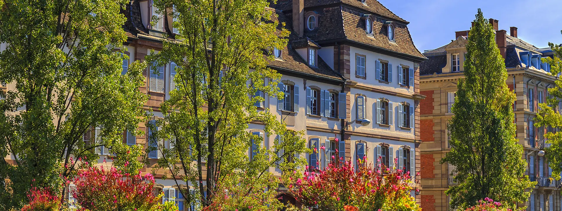 Diagnostic Strasbourg